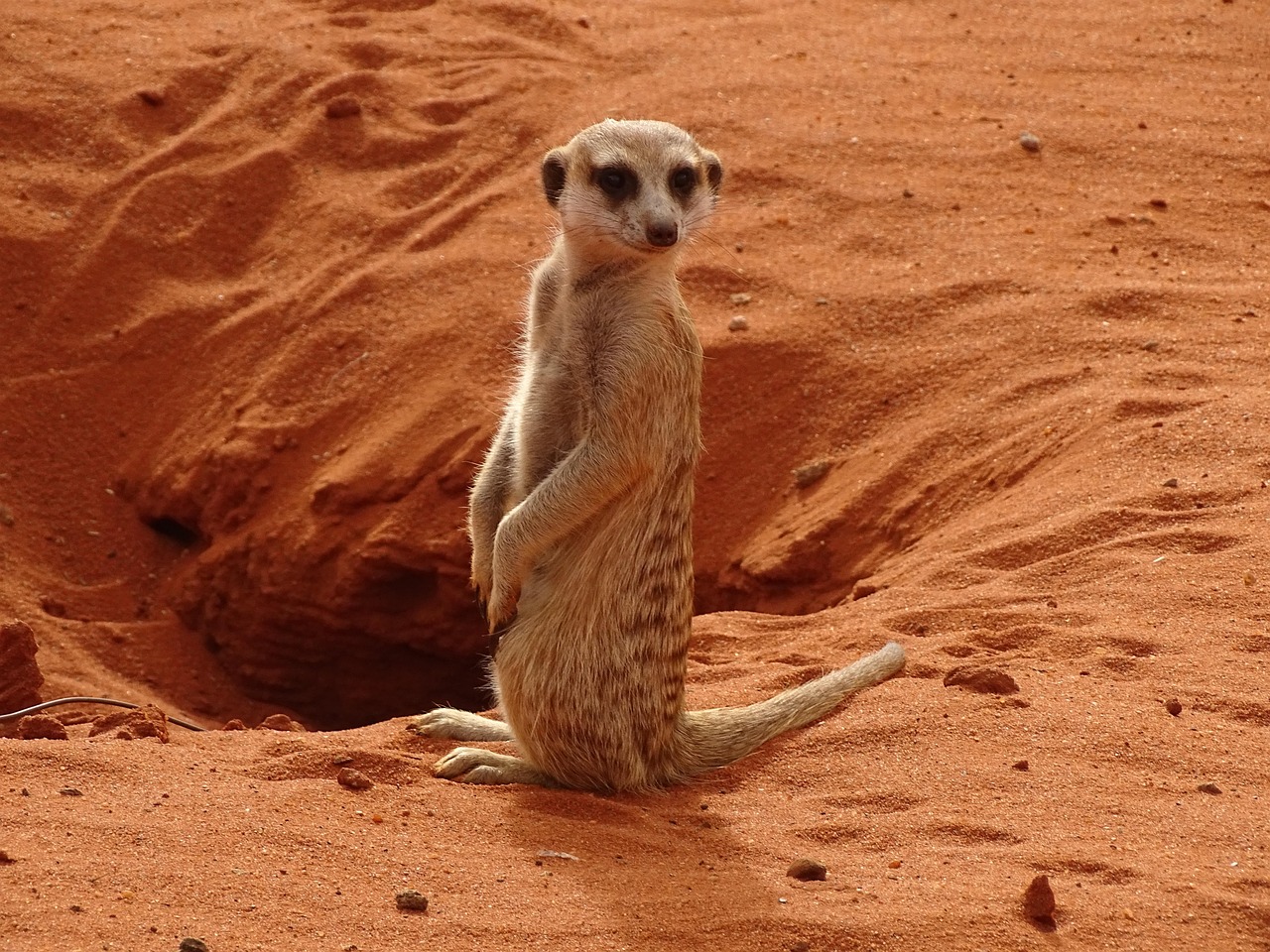 namibia-4404964_1280